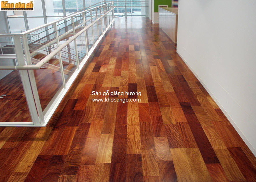 sàn gỗ giáng hương